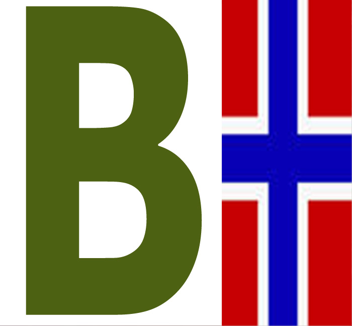hybler i Molde Hybel utleie lang korttids